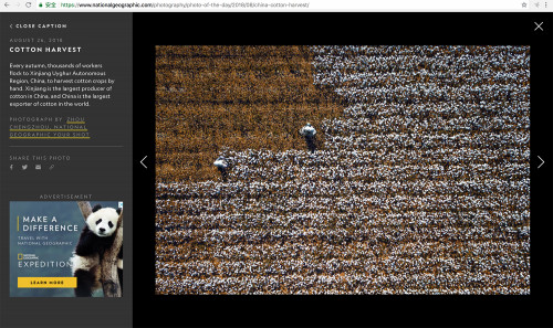 National Geographic-2-s